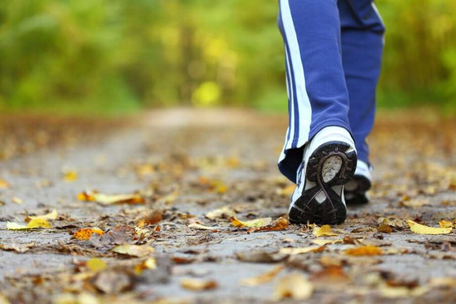 Exercícios Simples Para Manter A Saúde Em Dia