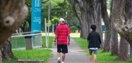 Como pequenas caminhadas podem trazer benefícios para a saúde física e mental