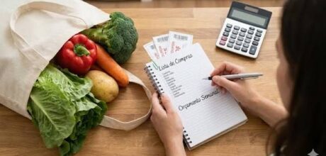 omo controlar seus gastos mensais de forma simples e eficiente